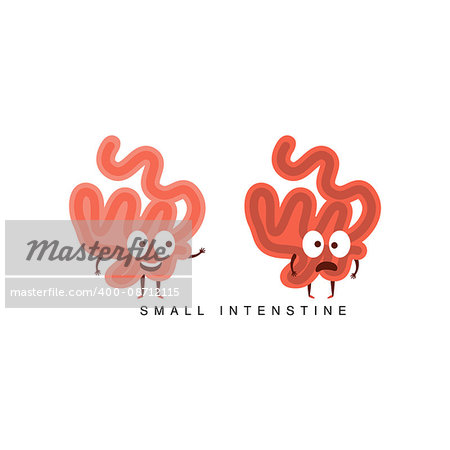 Healthy vs Unhealthy Small Intestine Infographic Illustration.Humanized Human Organs Childish Cartoon Characters On White Background