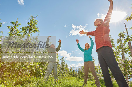 Three mature adults in filed, meditating, low angle view, Meran, South Tyrol, Italy