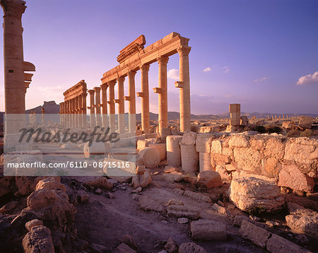 Columns in Desert Palmyra Ruins, Syria