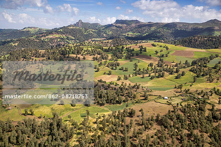 Ethiopia, Oromia Region, Bale Mountains. Farms in the once well-forested slopes of the Bale Mountains.