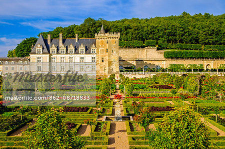 Chateau of Villandry gardens, Indre et Loire, Loire Valley, France, Europe