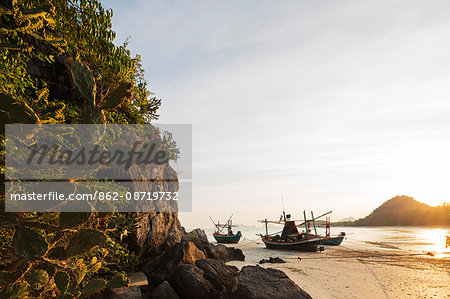 South East Asia, Thailand, Prachuap Kiri Khan, Khao Sam Roi Yot National Park, cactus on Sam Phraya Beach, fishing boat