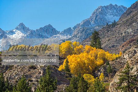 USA,California, Eastern Sierra, Bishop, Bishop creek in fall