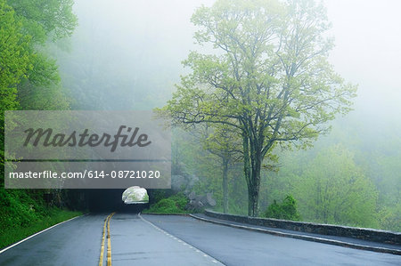 Tunnel on misty empty road, Shenandoah National Park, Virginia, USA