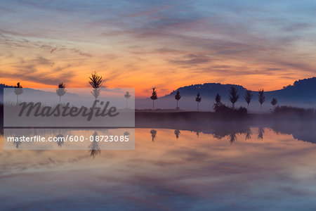 Landscape with Row of Trees Reflecting in Lake at Dawn, Drei Gleichen, Ilm District, Thuringia, Germany