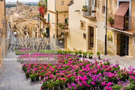 La Scala di Santa Maria del Monte during Infiorata, Caltagirone, Sicily, Italy