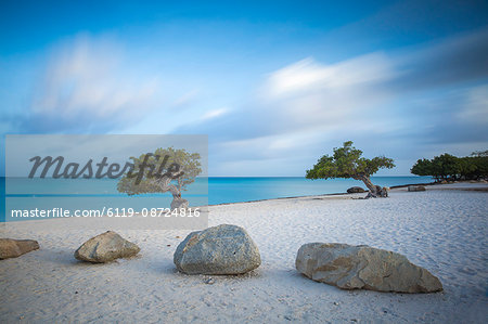 Divi Divi Trees on Eagle Beach, Aruba, Lesser Antilles, Netherlands Antilles, Caribbean, Central America