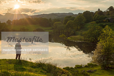 A woman looks out over Loughrigg Tarn near Ambleside in The Lake District National Park, Cumbria, England, United Kingdom, Europe