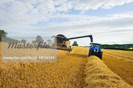 A combine harvester working alongside a tractor on a crop in a field.