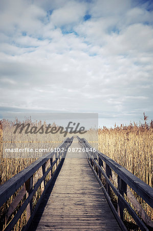 Wooden boardwalk