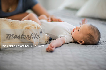 Baby with pet Golden Labrador.