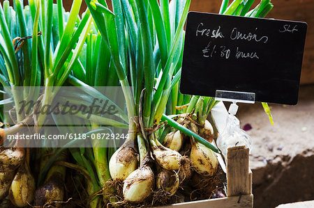 Organic onions being sold in a farm shop.