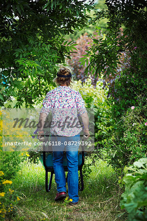 A woman pushing a wheelbarrow of garden clippings along a path.