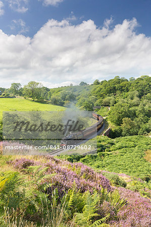 A steam locomotive pulling carriages through Darnholme on the North Yorkshire Steam Heritage Railway, Yorkshire, England, United Kingdom, Europe