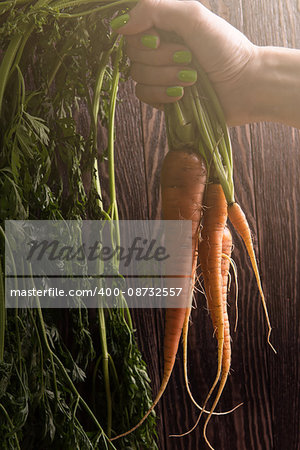 Freshly grown carrots on wooden table