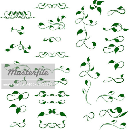 Text divider, set floral decor element for page