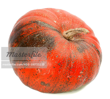 Red ripe pumpkin. Isolated on white background. Close-up view.