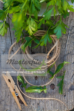 clothes peg and rope greens in garden on wood background