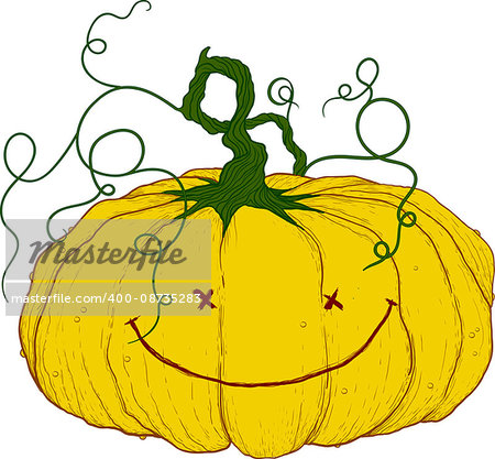 big yellow festive pumpkin with tail and funny little face