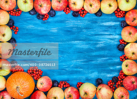 Autumnal frame red apples, pumpkin, rowan on  painted blue wooden background with copy space for text in center, top view