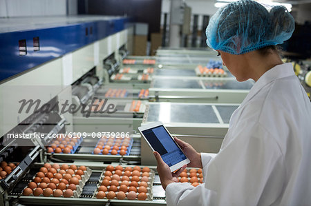 Female staff using digital tablet next to production line in egg factory