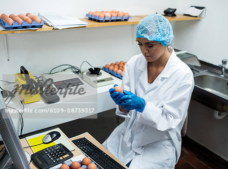 Attentive female staff examine egg in egg factory