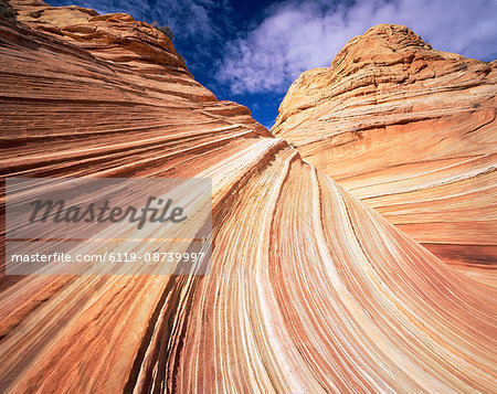 Sandstone wave, Paria Canyon, Vermillion Cliffs Wilderness, Arizona, United States of America (U.S.A.), North America