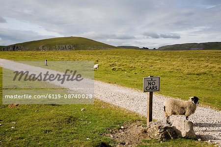 Looking north on path near Malham Tarn, Yorkshire Dales National Park, North Yorkshire, England, United Kingdom, Europe