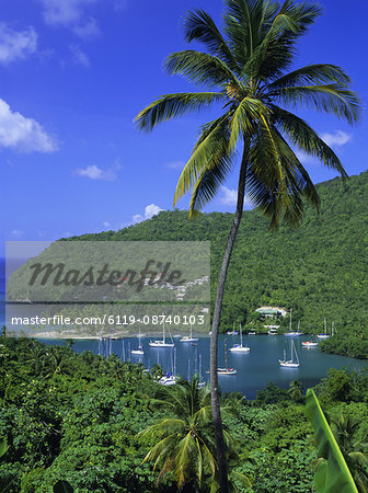 Marigot Bay, St. Lucia, Windward Islands, Caribbean, West Indies, Central America Marigot Bay, St. Lucia, Windward Islands, Caribbean, West Indies, Central America