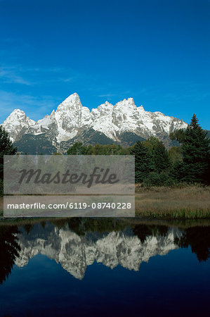 Schwarbacher's Landing, Grand Teton National Park, Wyoming, United States of America (U.S.A.), North America