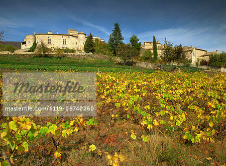 Vines in front of the village of Le Poet Laval, Drome, Rhone-Alpes, France, Europe