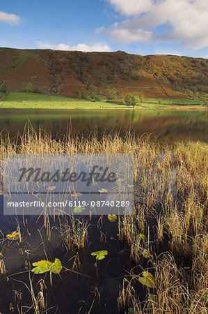 Autumn colours, Watendlath Tarn, Borrowdale, Lake District National Park, Cumbria, England, United Kingdom, Europe