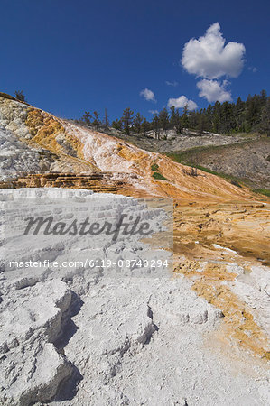 Palette Spring Terrace, Mammoth Hot Springs, Yellowstone National Park, UNESCO World Heritage Site, Wyoming, United States of America, North America