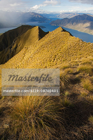 View of Lake Wanaka, 311m deep, from Mount Roy peak, Otago, South Island, New Zealand, Pacific