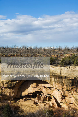 Cliff palace ruins in Mesa Verde containing some of the most elaborte Pueblo dwellings found today, Mesa Verde National Park, UNESCO World Heritage Site, Colorado, United States of America, North America