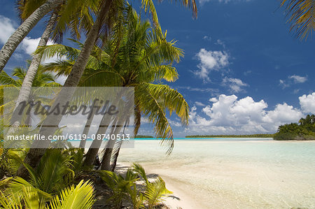 Blue Lagoon, Rangiroa, Tuamotu Archipelago, French Polynesia, Pacific Islands, Pacific