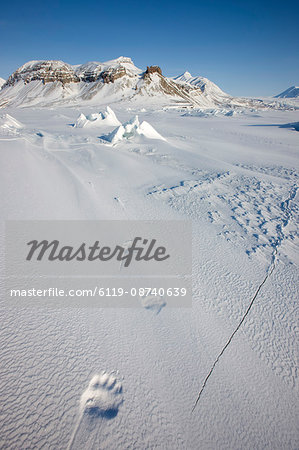 Polar bear track, Billefjord, Svalbard, Spitzbergen, Arctic, Norway, Scandinavia, Europe