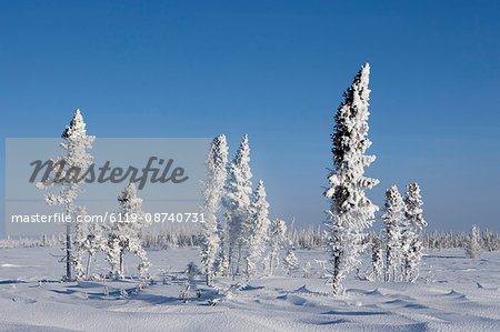 Winter Scenery, Churchill, Manitoba, Canada