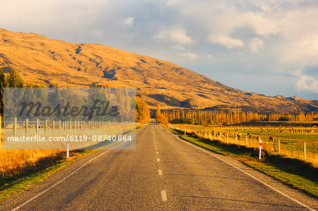 Road, Tarras, Central Otago, South Island, New Zealand, Pacific