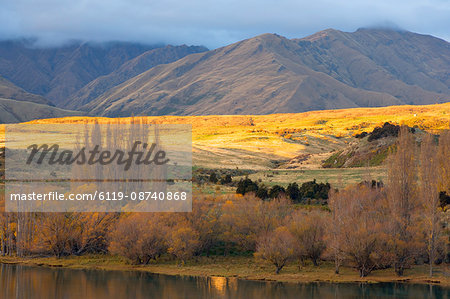Glendhu Bay, Lake Wanaka, Wanaka, Central Otago, South Island, New Zealand, Pacific