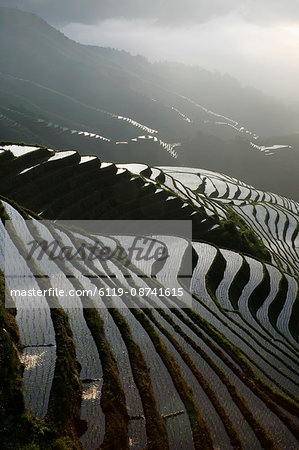 June sunrise, Longsheng terraced ricefields, Guangxi Province, China, Asia