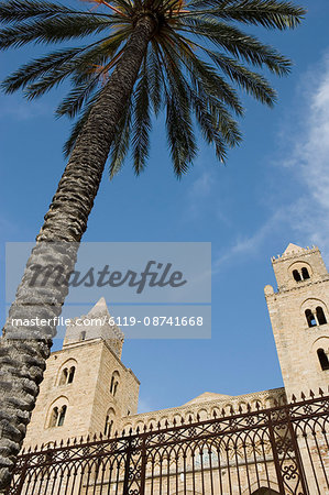 Palm tree and cathedral, Piazza Duomo, Cefalu, Sicily, Italy, Europe