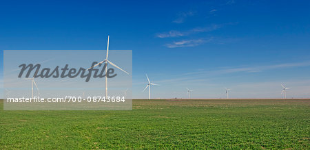 Wind turbines on green field against blue sky in Burlington Colorado, USA