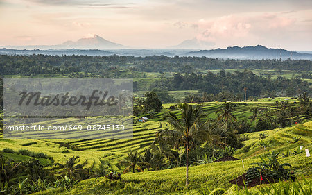 Jatiluwih, Bali, Indonesia