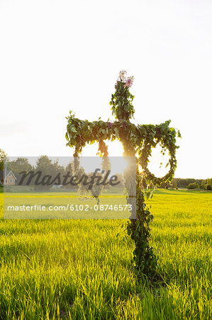 Maypole in field