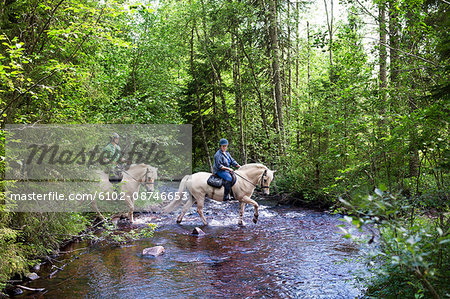 Horseback riding through forest
