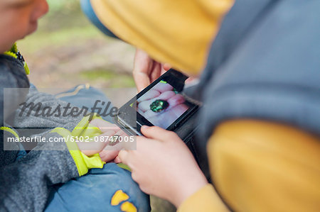 Photographing beetle with smartphone