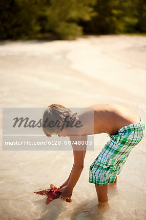 Young boy bending over to pick up a starfish from sparkling tropical waters.