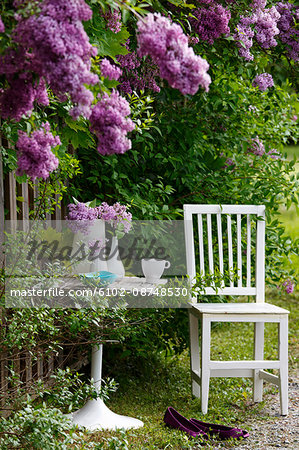 Chair and table on domestic garden