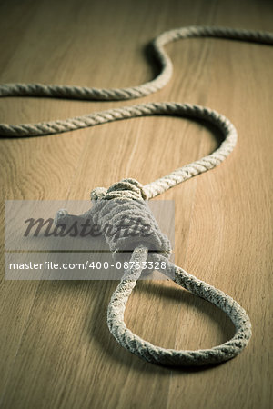 Noose lying on hardwood floor, suicide and punishment concept.